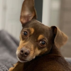 Meet your Posher, Tim